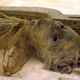 Illustration for article titled Mummies reveal Ancient Egyptian heart disease epidemic